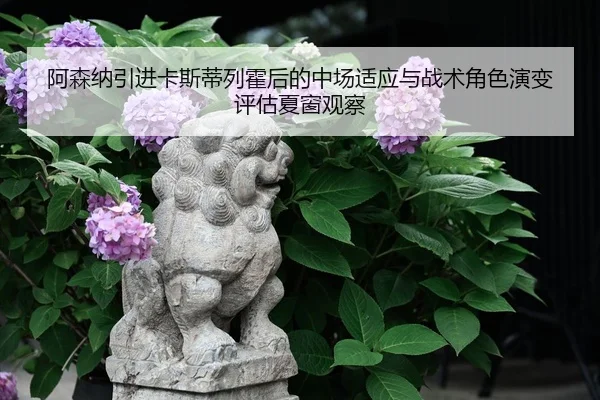 阿森纳引进卡斯蒂列霍后的中场适应与战术角色演变评估夏窗观察