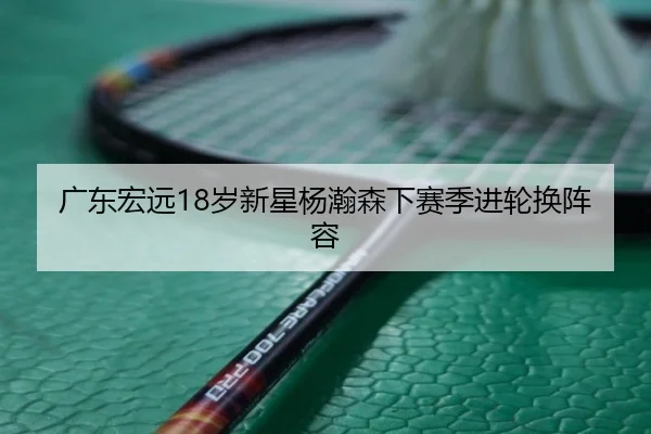 广东宏远18岁新星杨瀚森下赛季进轮换阵容